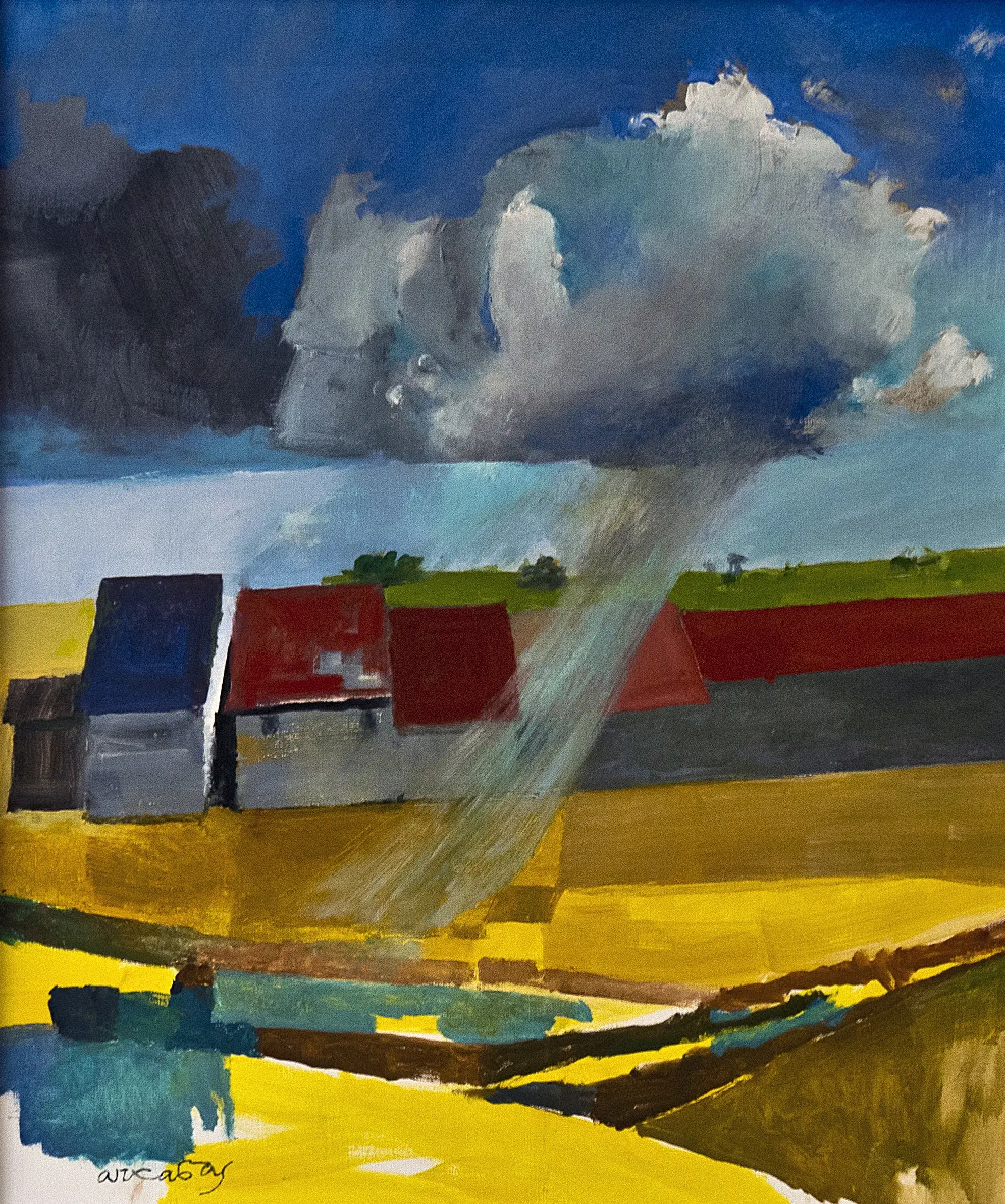 Grain sur un champ de colza.jpg